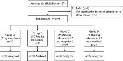 Epidural esketamine and morphine for postoperative analgesia after caesarean delivery: A pilot study